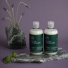 Tea Tree Lavender Mint Moisturizing Shampoo, Hydrates + Soothes, For