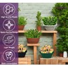 HOMION 31cm Venetian Wall Planter Hanging Basket Flower planter Plastic