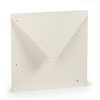 PAPERADO 25 square envelopes Terra Vanilla Cream Beige 100 g/m²