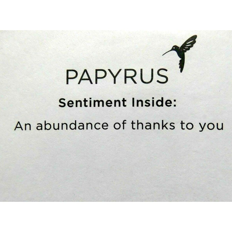 Papyrus Card Everyday, 1 EA