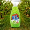 Basics Brillo Basics Green Apple Dish Soap (2-Pack) + Scrub