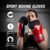 Hayabusa Sport Boxing Gloves for Men and Women Dual-Splinted Wrist