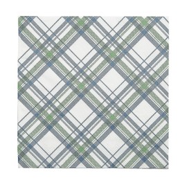 Fun Express 6 1/2" Sage Green & Slate Blue Plaid Party Disposable Paper Luncheon Napkins - 16 Count