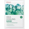 Cell Fusion C Deer Cooling Mask, Cica Cooling Mask Sheet,