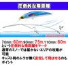 Duel Hardcore Heavy Minnow (S) Lure, 2.8 / 3.5 /