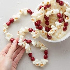 Factory Direct Craft 10 Feet Old Fashion Look Artificial Popcorn Cranberry Garland