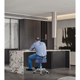 Lilfurni Swivel Rolling Stool Round Chair,Thick Sturdy Padding,Adjustable Stool with Wheels for Doctor,Medical,Massage Salon,Office,Shop(no Back, Blue)