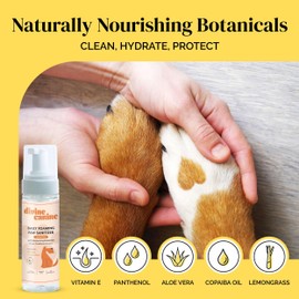 Divine Canine Foam Dog Paw Cleaner - 8.4 Fl Oz of Alcohol Free Foaming Paw Sanitizer Spritz - Made with Coconut, Aloe, Copaiba Oil, and Lemongrass Oil to Nourish and Clean Paws - Made in The USA