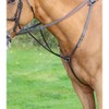 Shires Aviemore Hunt Weight Breastplate-Black Full