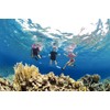 Cressi Little Shark 2 mm Wetsuit for Children Available Short