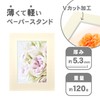 HAKUBA MICPS-2LCR Insert Color Paper Stand, 2L, Cream