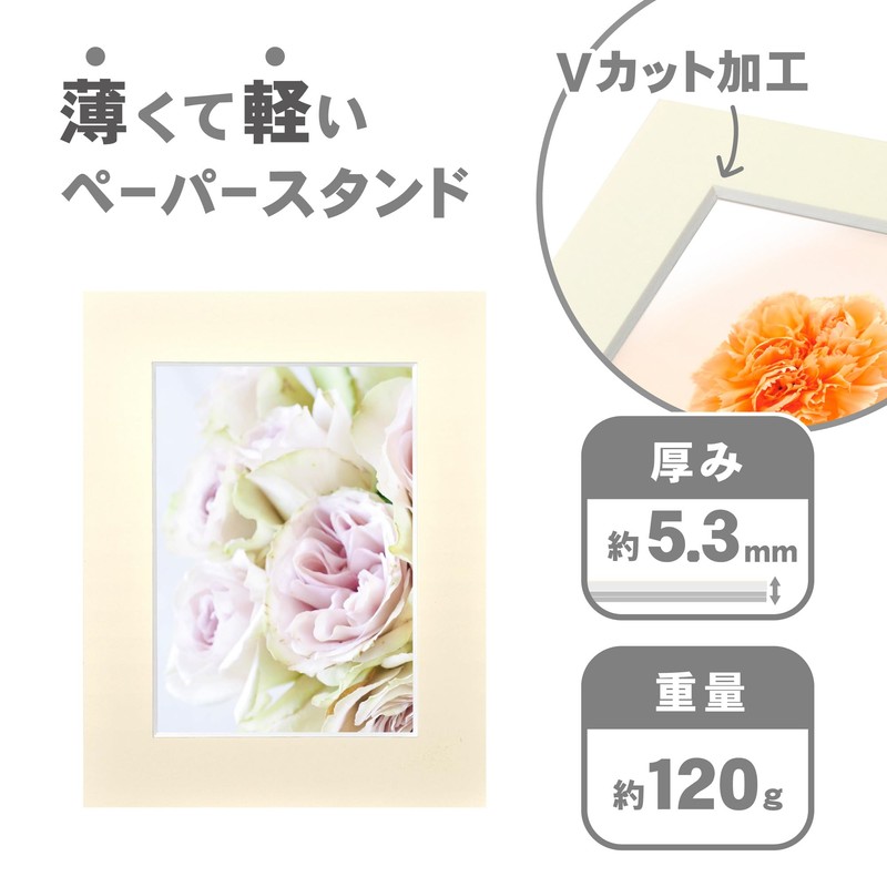 HAKUBA MICPS-2LCR Insert Color Paper Stand, 2L, Cream