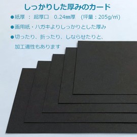 Paper Entrance 55104 Black Plain Message Cards 200 Business Cards Tags Cardboard
