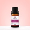 Vitality Extracts Helichrysum Essential Oil - 10ml, Helichrysum Gymnocephalum, Aromatherapy,