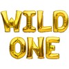 PartyForever Wild One Balloons Banner Gold Foil 1st Birthday Party
