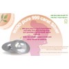 The Original 999 Carat Pure Silver - Nipple Shields for