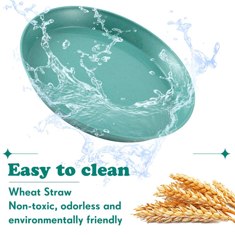 Gerrii 6 Pieces Shallow Cat Food Dish, Whisker Friendly, Lightweight,