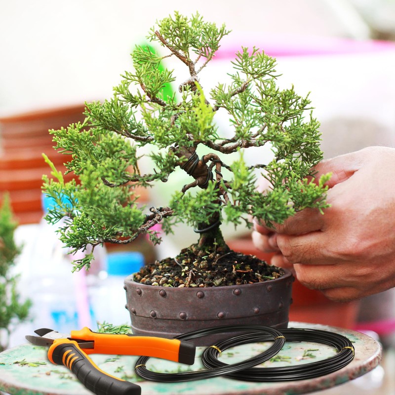 Mudder 5 Roll Aluminum Bonsai Training Wire Tree 160 Feet