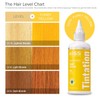 Red by Kiss Tintation Semi-Permanent Hair Color, Aloe Vera Water