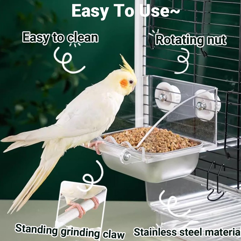 AIMALL Parrot Acrylic Stainless Steel Food Basin Box, Anti-Scattering Feeder