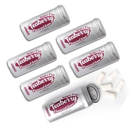 Gerrit Verberg's SUGAR FREE Gum - Gift Packs of 20 Piece Tubes By Lyza's Sweets & Treats (Pack of 6, Teaberry)