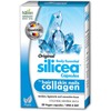 Silicea One A Day Cap X 30