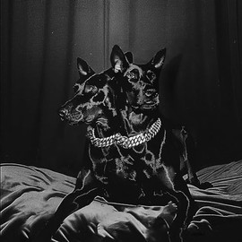 Forever Friends (Black Vinyl) [Vinyl LP]