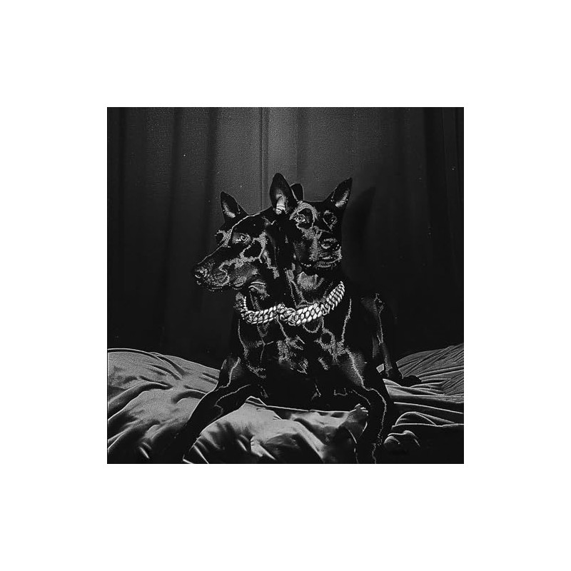 Forever Friends (Black Vinyl) [Vinyl LP]