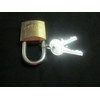 22011-30 PADLOCK ~ CISA ~ SOLID BRASS LOCK 220/30 MADE