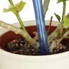 Relaxdays Plant Watering Globes Set, 2-Week Reservoir for Potted Plants,