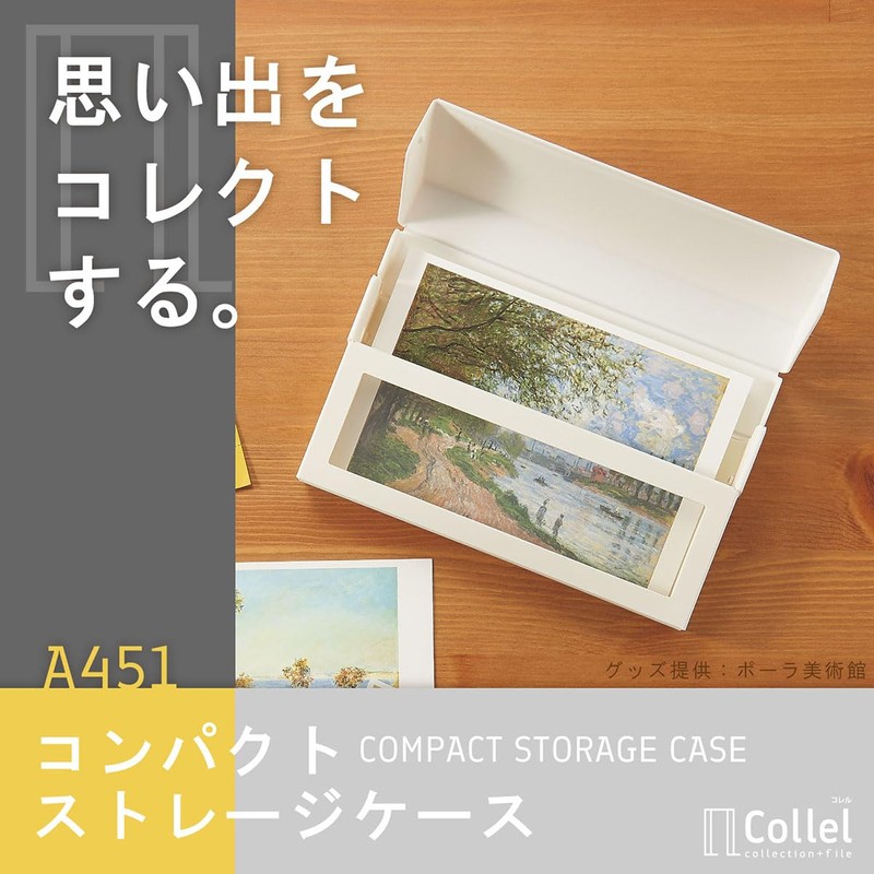 Lihit Lab Collel Compact Storage Case A6 Black A451-24