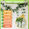 100 Pcs Plant Climbing Wall Clips - Self-Adhesive Hooks for