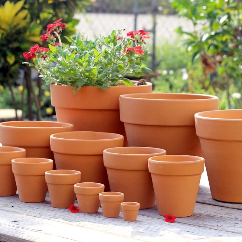 OLEEP Clay Pots - 10 Pack (5.5 inch) Large Terra