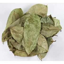 Soursop  Dried Leaves, Hojas de Guanabana for Tea - Specification: Soursop , Portion: 4oz