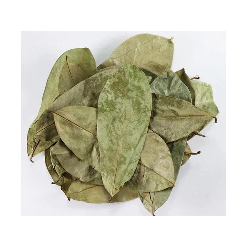Soursop Dried Leaves, Hojas de Guanabana for Tea - Specification: