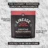 Lineage Provisions Micronized Creatine Monohydrate with Sea Salt - Micronized