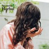 Crema Para Peinar Secreto Herbal Rizos Definidos 245 Ml