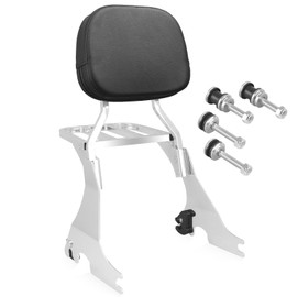 NOVALLA Detachable Passenger Backrest Sissy Bar with Luggage Rack and Docking Hardware Kits Fit For Harley Davidson Sportster XL 883 1200 2004-2024 (Chrome)