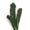 Viridis Hortus - Nero Di Toscana Borecole Curly Kale 3,000