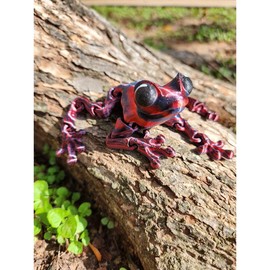 Funky Frogs - Articulated 3D Printed Amphibians With Swirling Colors - Color: Scarlet