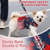 EXPAWLORER Dog Harness Small Medium Sized Dogs, No Choke No