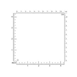 Silvershake 4.5 to 5MM Cultured Freshwater White Pearl 925 Sterling Silver O-Hoop Earrings Jewelry for Women June Birthstone