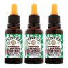 Polenectar 폴리넥타 브라질 그린비 액상 프로폴리스 30ml 3병 Polenectar Brazilian Green Bee Liquid Propolis 30ml 3 Bottles