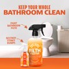 ANGRY ORANGE Toilet Tamer Bathroom Spray - Citrus Orange Spice