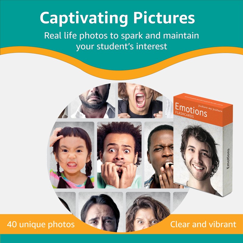 Picture My Picture Emotions Volume 1 Flash Card Set –