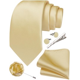 Ailisus Champagne Ties for Men Silk Satin Necktie and Pocket Square Cufflinks Tie Clip Lapel Pin Set Wedding Business 5PCS