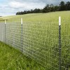 MTB Galvanized Welded Wire Mesh Garden Economy Fence 48" x50'-2"x3"