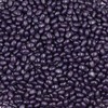 Smarty Stop Jelly Beans Every Flavor Candy (2 Pound (Pack