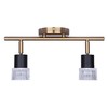 Canarm Elsee 2-Light Track Lighting Black and Gold with Clear