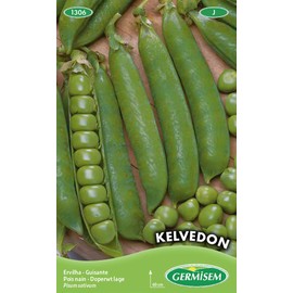 Germisem Kelvedon Peas EC1306 Multi-Coloured